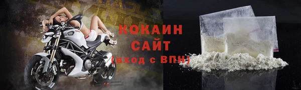 соль ск Алексин