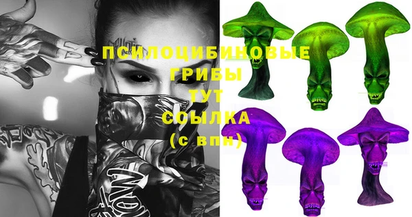 соль ск Алексин