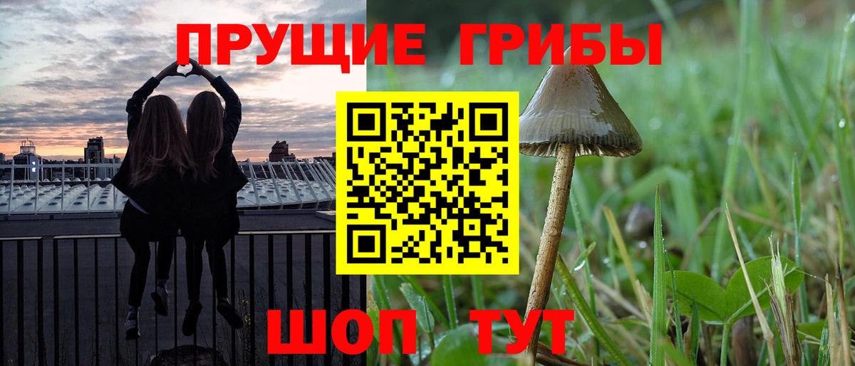 Псилоцибиновые грибы GOLDEN TEACHER Протвино