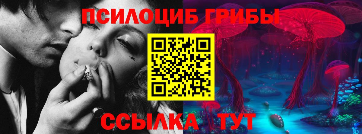 Псилоцибиновые грибы Psilocybe  Вход с VPN  Псилоцибиновые грибы Cubensis  Протвино 